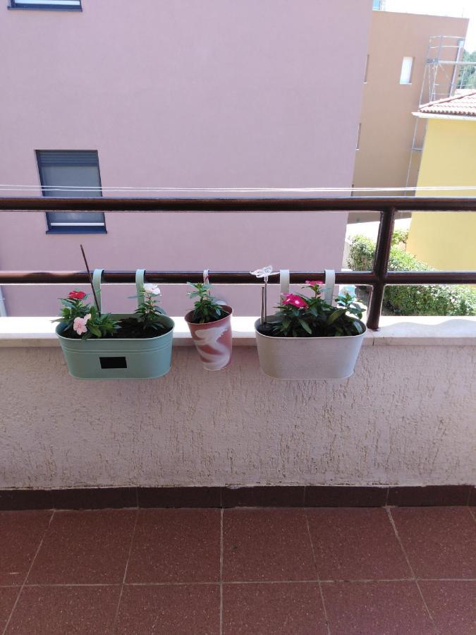 Apartamento Luciana Zadar Exterior foto